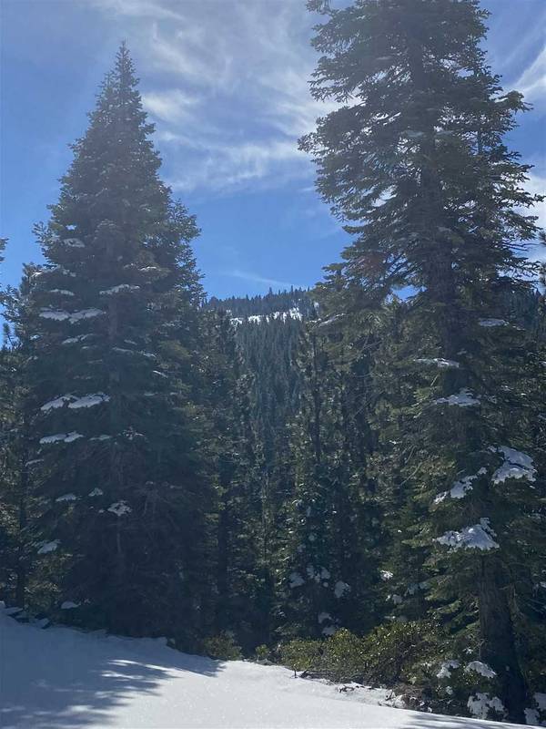 12901 Highway 89, Sierraville, CA 96162