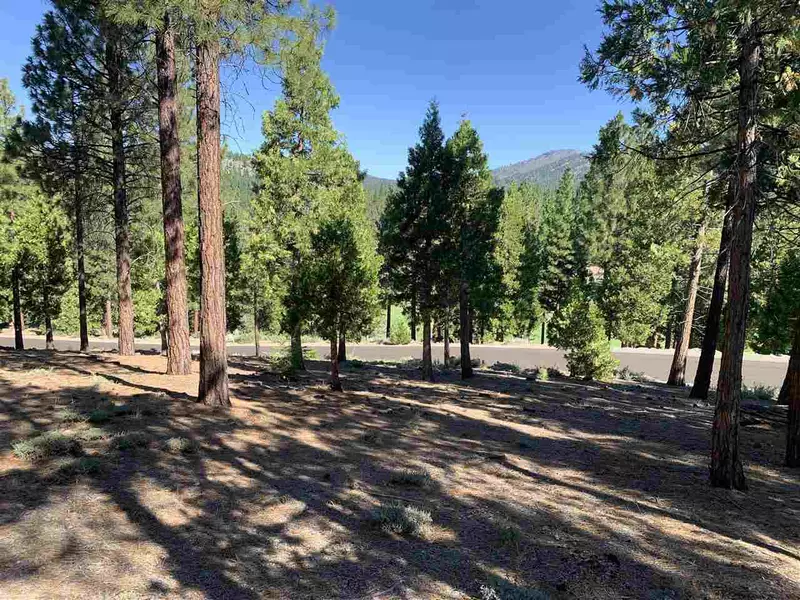 20 South Ridge Road, Portola, CA 96122