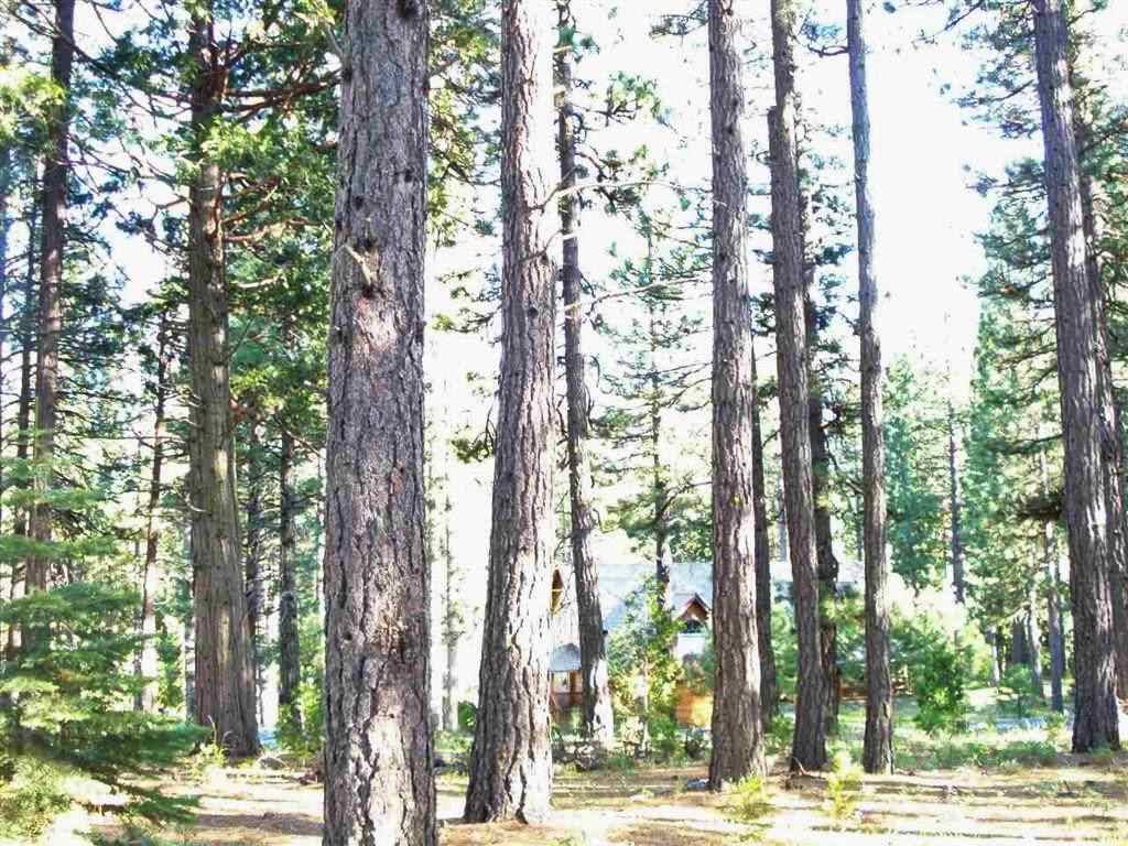 266 Boulder Drive, Clio, CA 96106