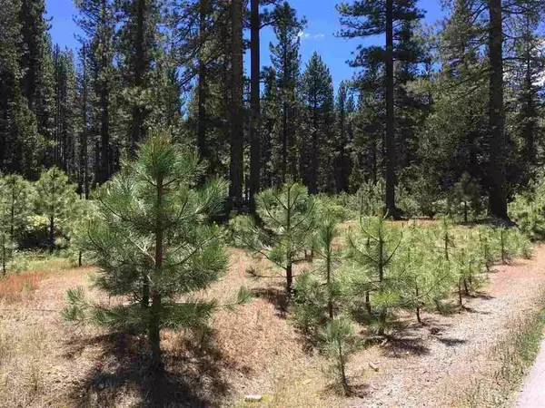 Blairsden, CA 96103,493 Eureka Springs Drive