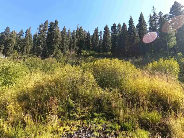 1051 Snow Crest Road, Alpine Meadows, CA 96146-9745