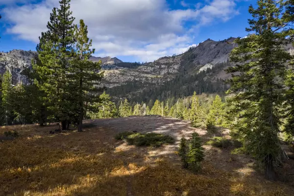 Alpine Meadows, CA 96146-9837,xxxxx Alpine Meadows Road