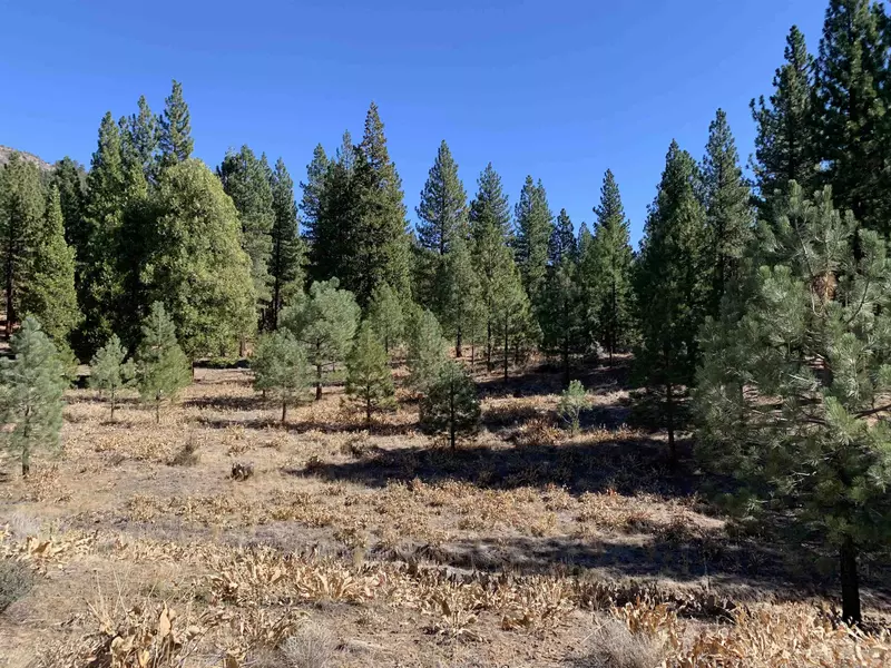 162 Arrowleaf Road, Portola, CA 96122