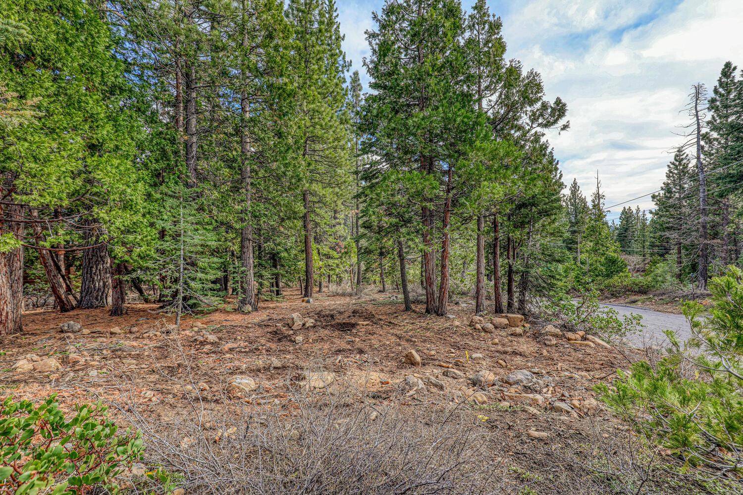 1225 Canterbury Drive, Kings Beach, CA 96143
