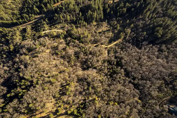 Alta, CA 95701,Casa Loma Road