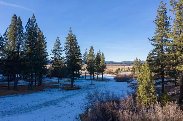 Truckee, CA 96161-3931,351 Skidder Trail