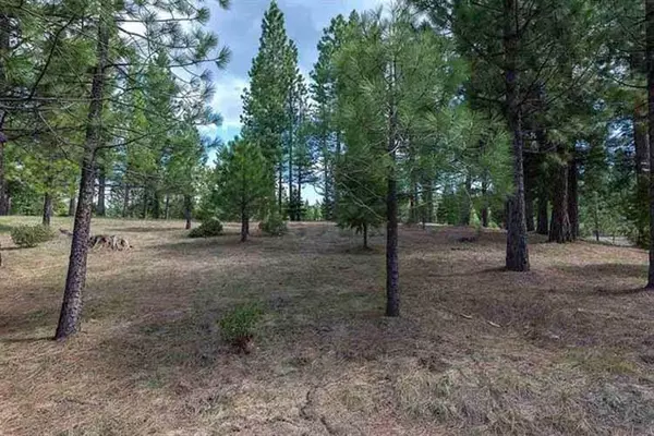 Portola, CA 96122,566 Red Sky