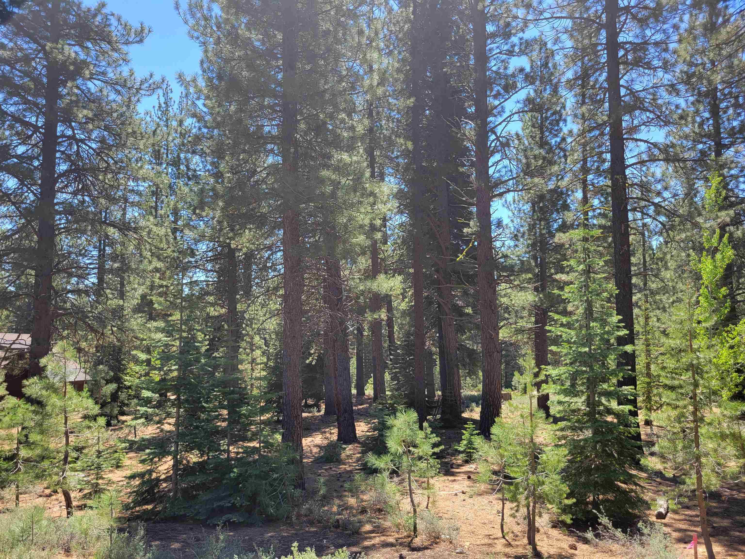 12595 Granite Drive, Truckee, CA 96161