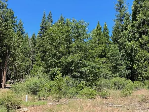 Quincy, CA 95971,2526 Running Springs Lane