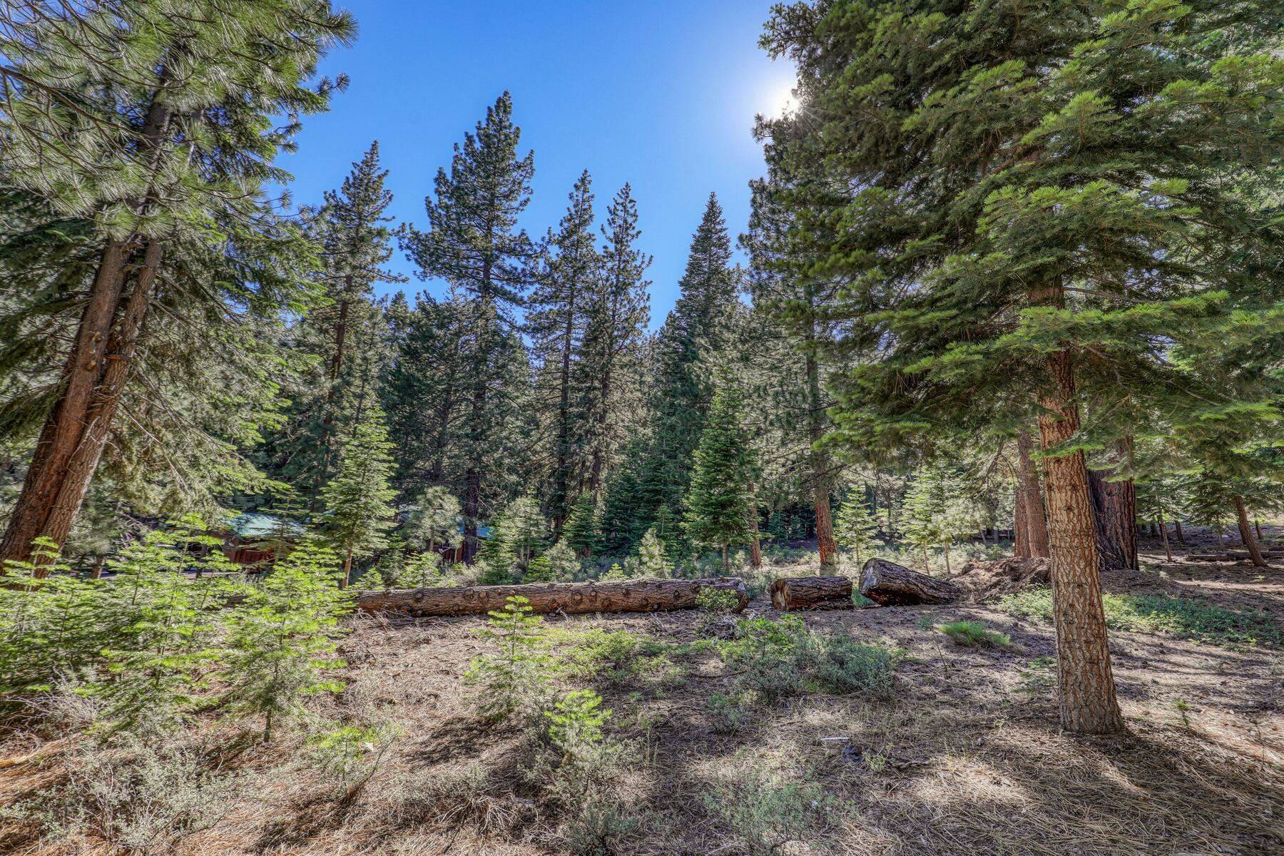 11408 Alder Drive, Truckee, CA 96161