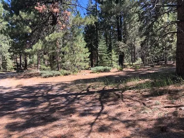 Portola, CA 96122-0000,7741 Buckbrush Drive