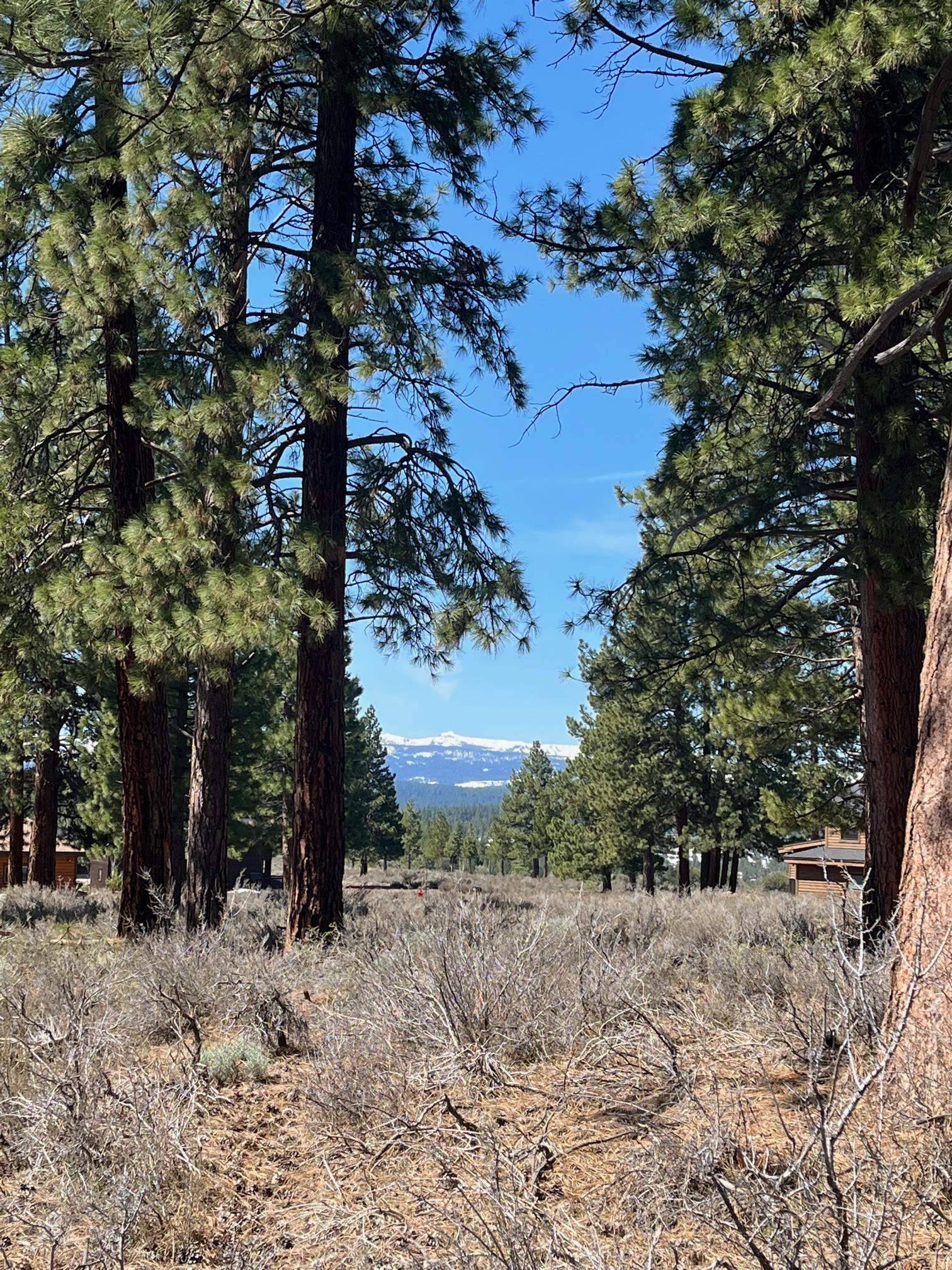 10750 Allenby Way, Truckee, CA 96161