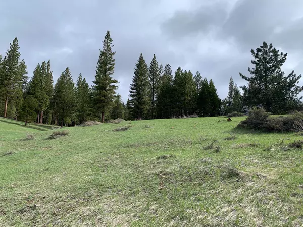 Portola, CA 96122,3345 Fawn Lane