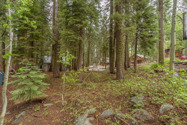 10560 Larch Street, Truckee, CA 96160-4231