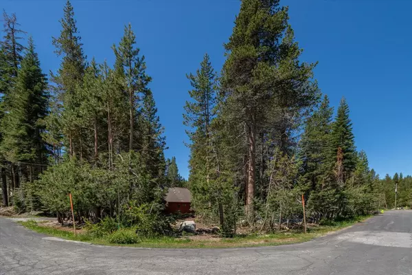 5595 Spruce Road, Soda Springs, CA 95724