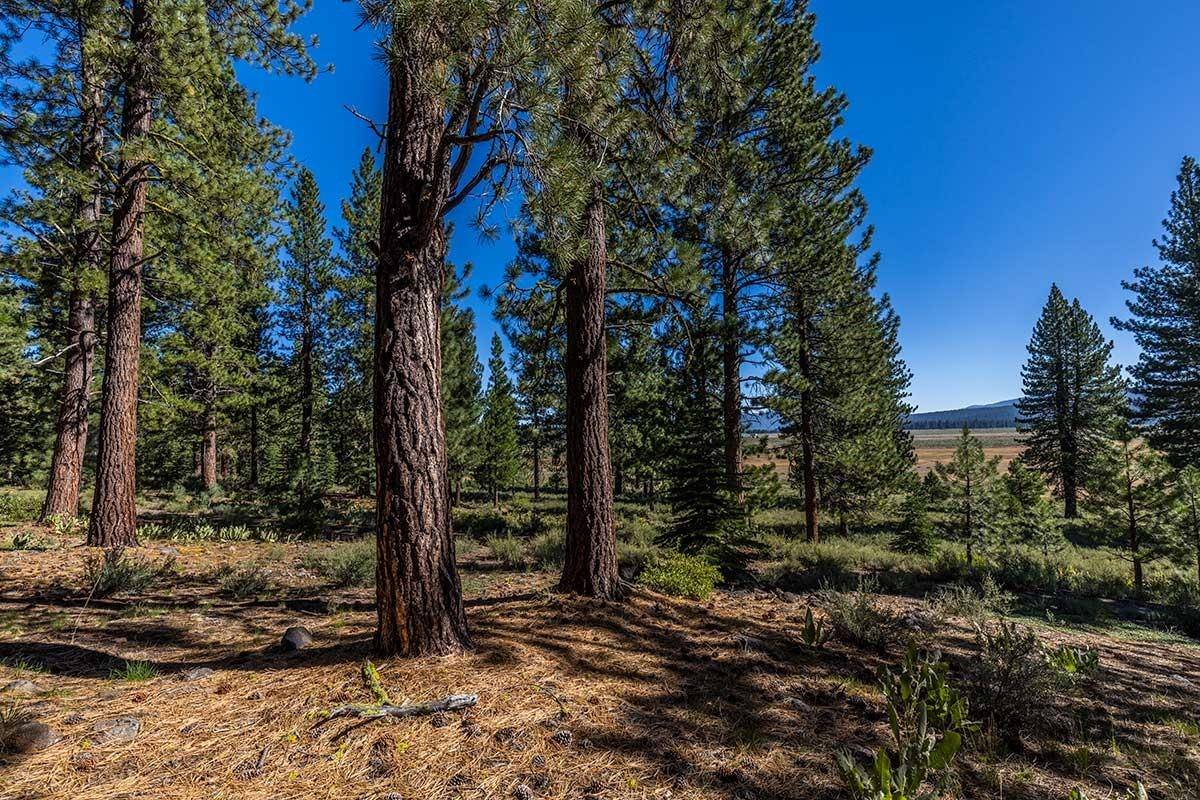 13281 Snowshoe Thompson Circle, Truckee, CA 96161
