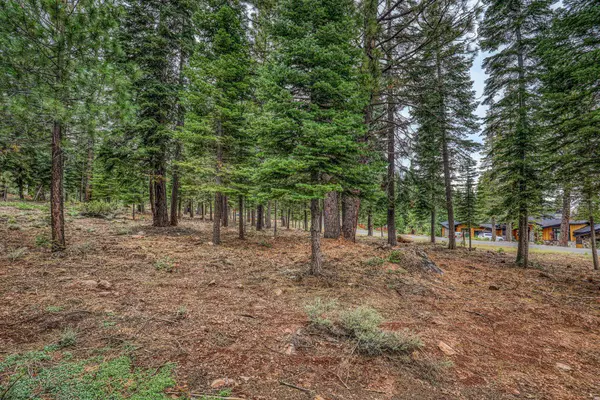 Truckee, CA 96161,9270 Brae Road