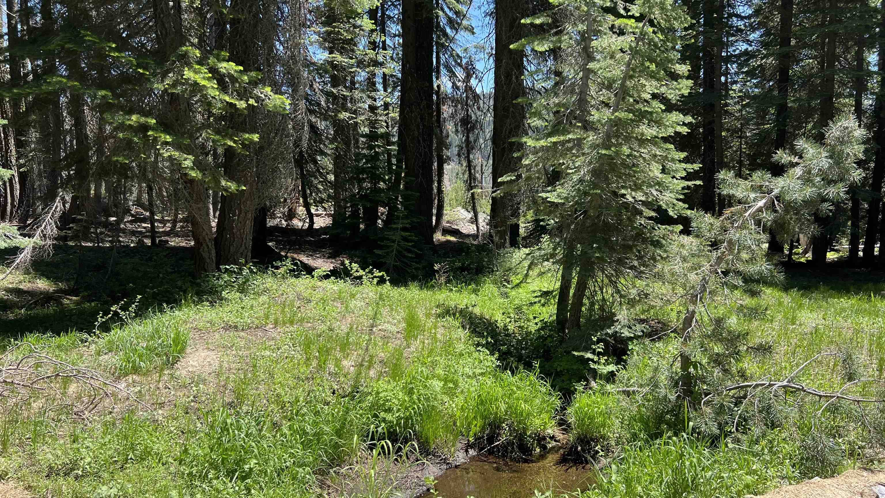 Soda Springs, CA 95728,51460 Red Fir Drive