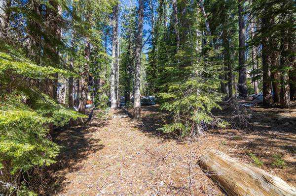 50886 Jeffery Pine Drive, Soda Springs, CA 95728