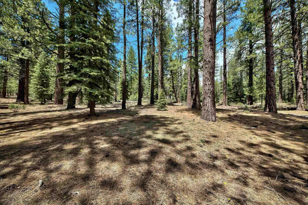 Truckee, CA 96161,12510 Granite Drive