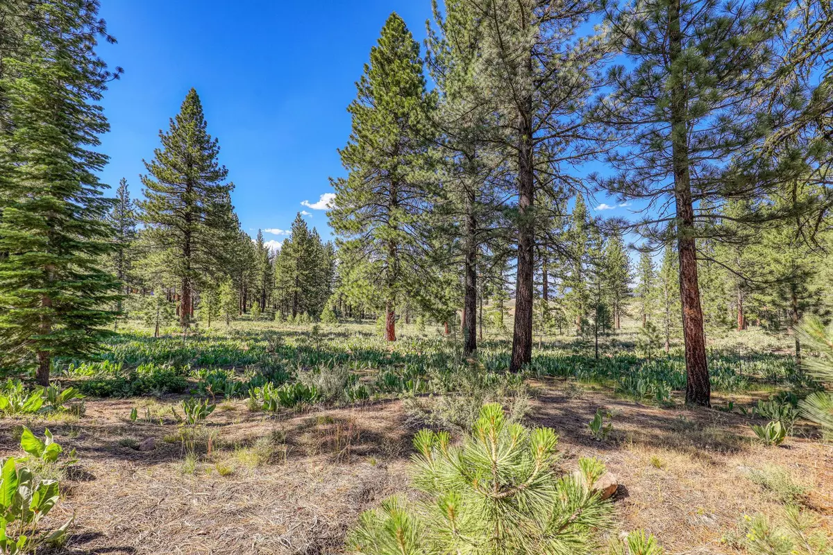 Truckee, CA 96161,7455 Lahontan Drive