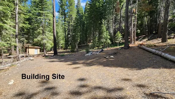 Truckee, CA 96146-0000,7388 River Road