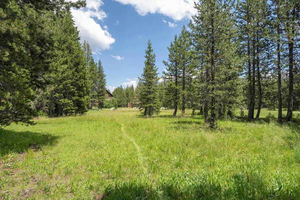 6154 Serene Road, Soda Springs, CA 95728