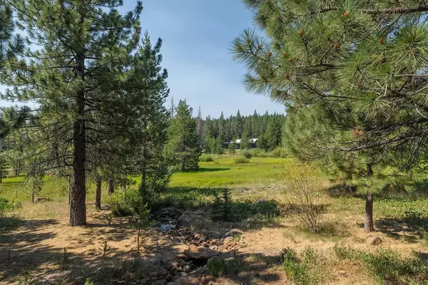 Truckee, CA 96161,11904 Bennett Flat Road