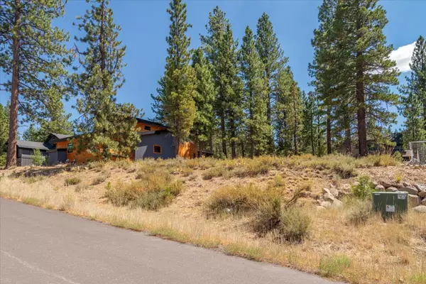 Truckee, CA 96161-1642,10729 Courtenay Lane