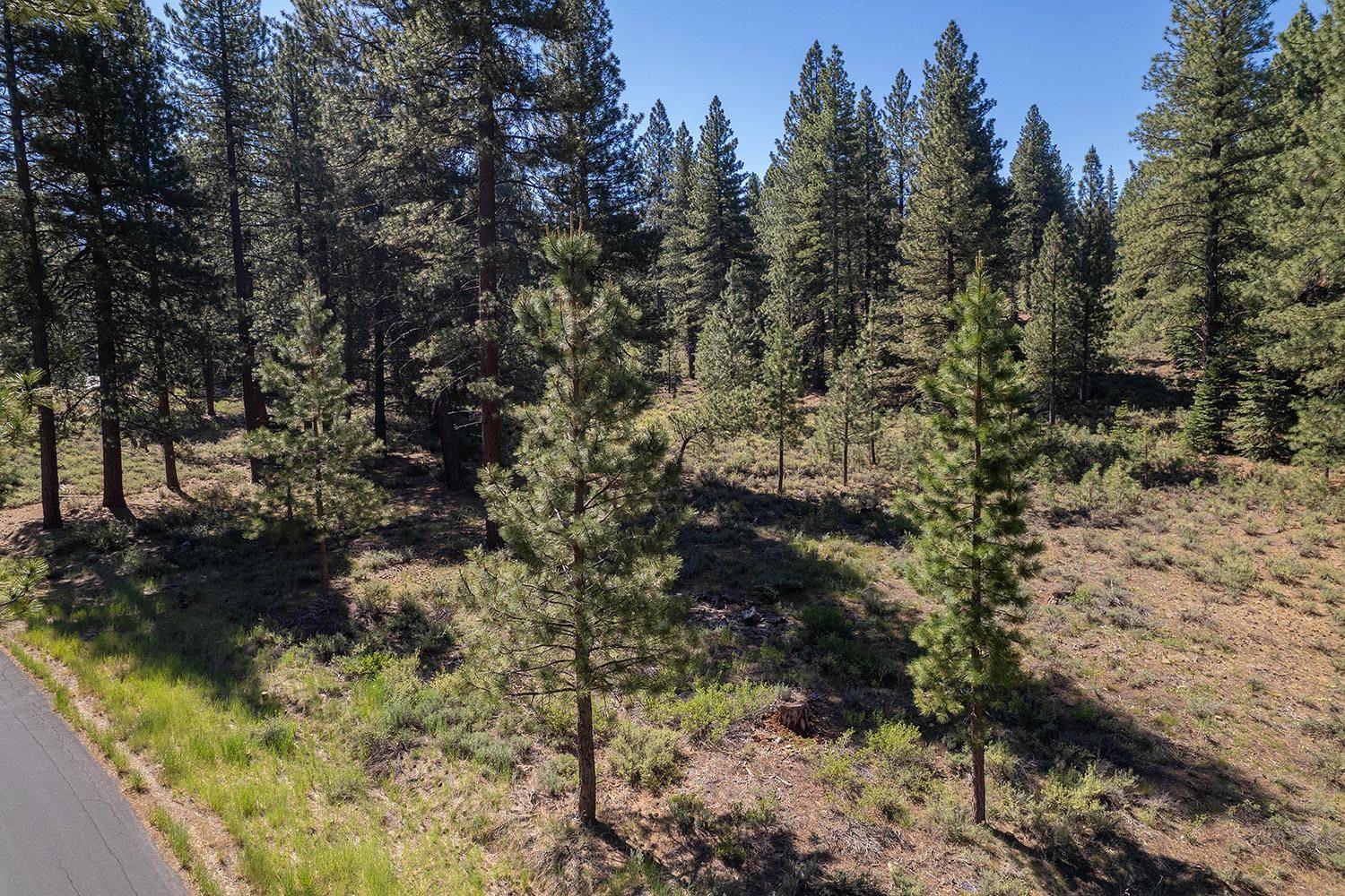 15375 Kent Drive, Truckee, CA 96161