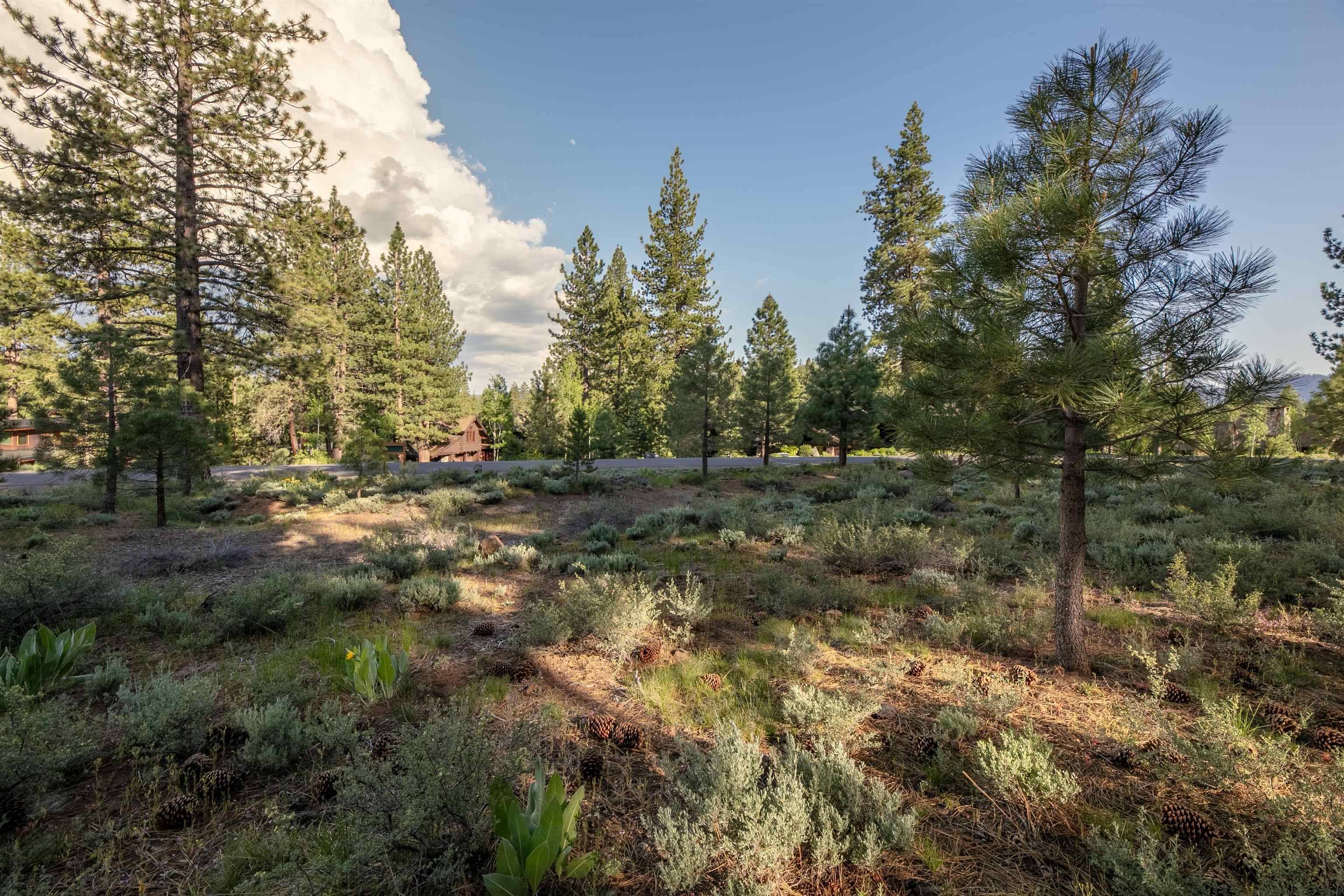 Truckee, CA 96161,13131 Snowshoe Thompson