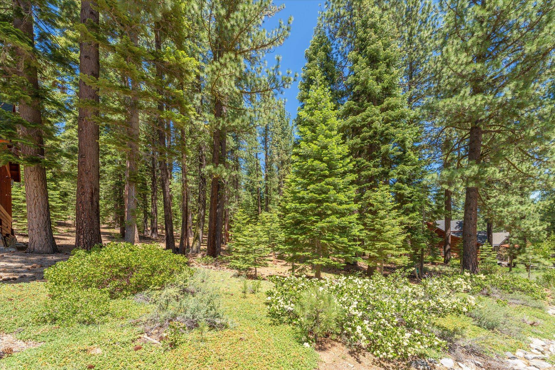 Truckee, CA 96161,11752 Saddleback Drive