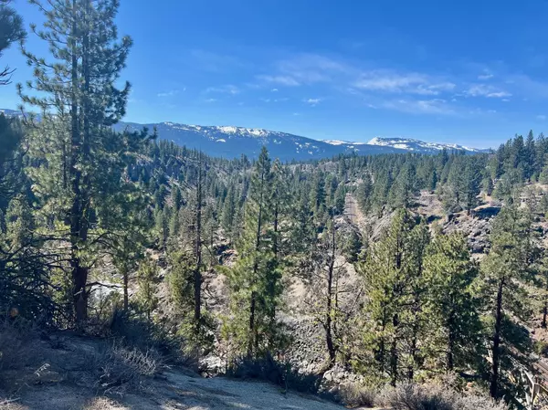 Portola, CA 96122,294 Windsong