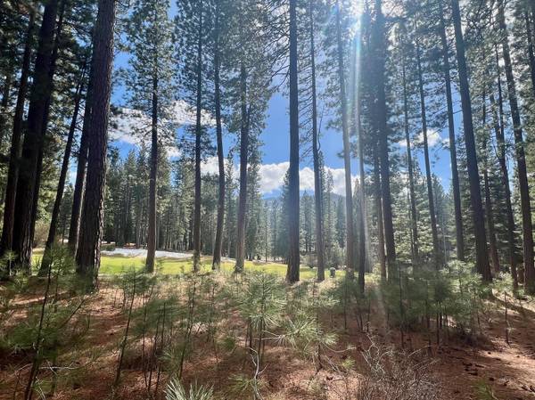 879 Prospector Drive, Clio, CA 96106