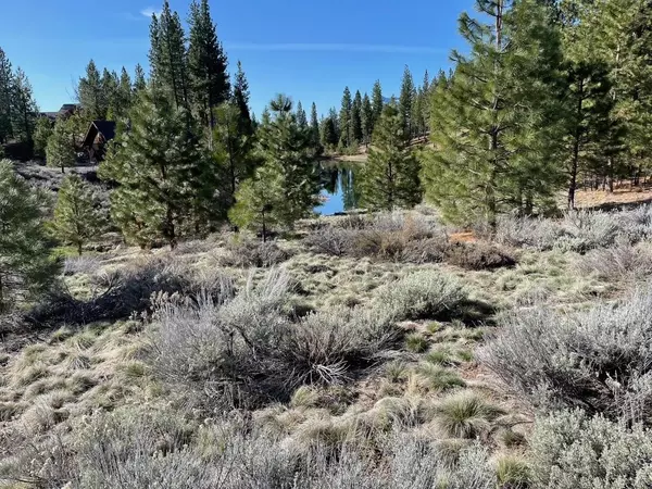 Portola, CA 96122,328 Blacktail Ridge