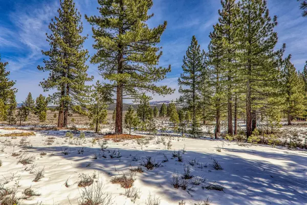 Truckee, CA 96161-2840,300 Bob Haslem #Lot 305