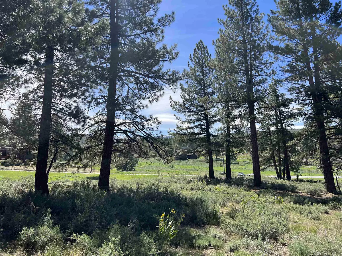 Truckee, CA 96161-1266,15865 Exeter Court
