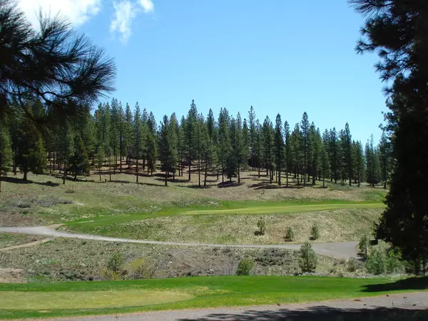 Portola, CA 96122,360 Big Grizzly Road