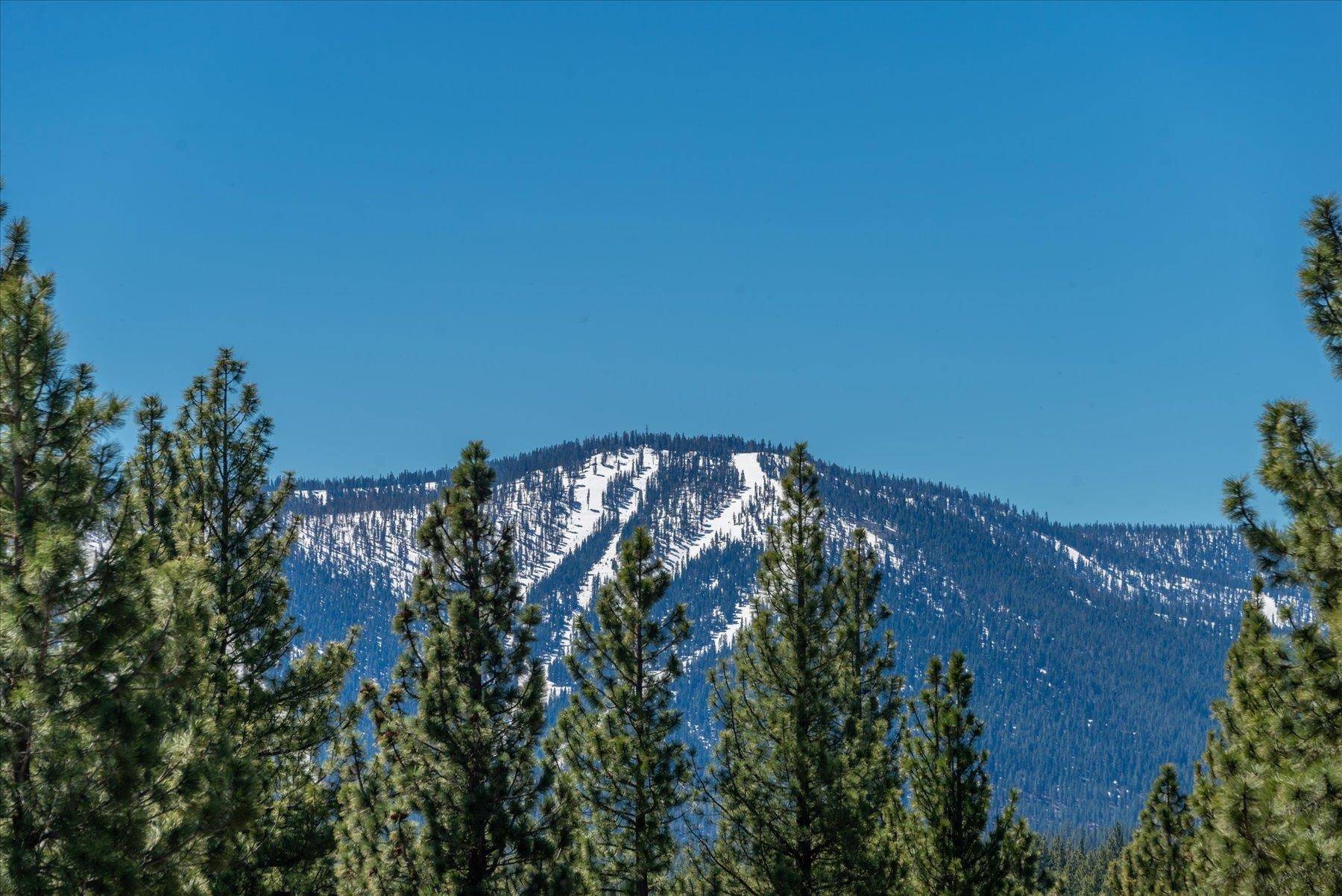 Truckee, CA 96161,11569 China Camp Road