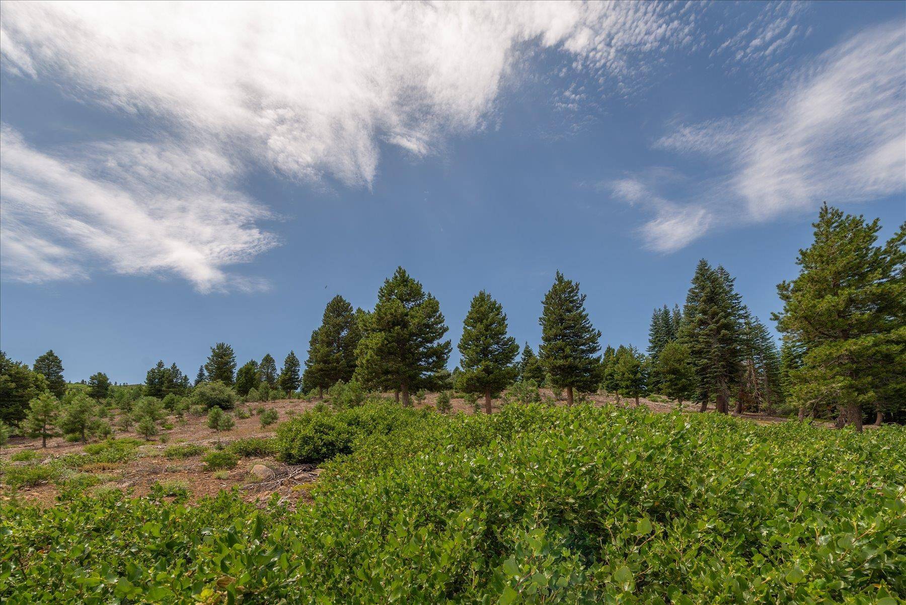 Truckee, CA 96161,15644 Skislope Way