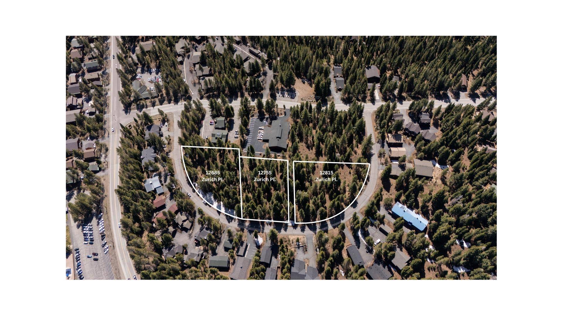 Truckee, CA 96161,12685 Zurich Place
