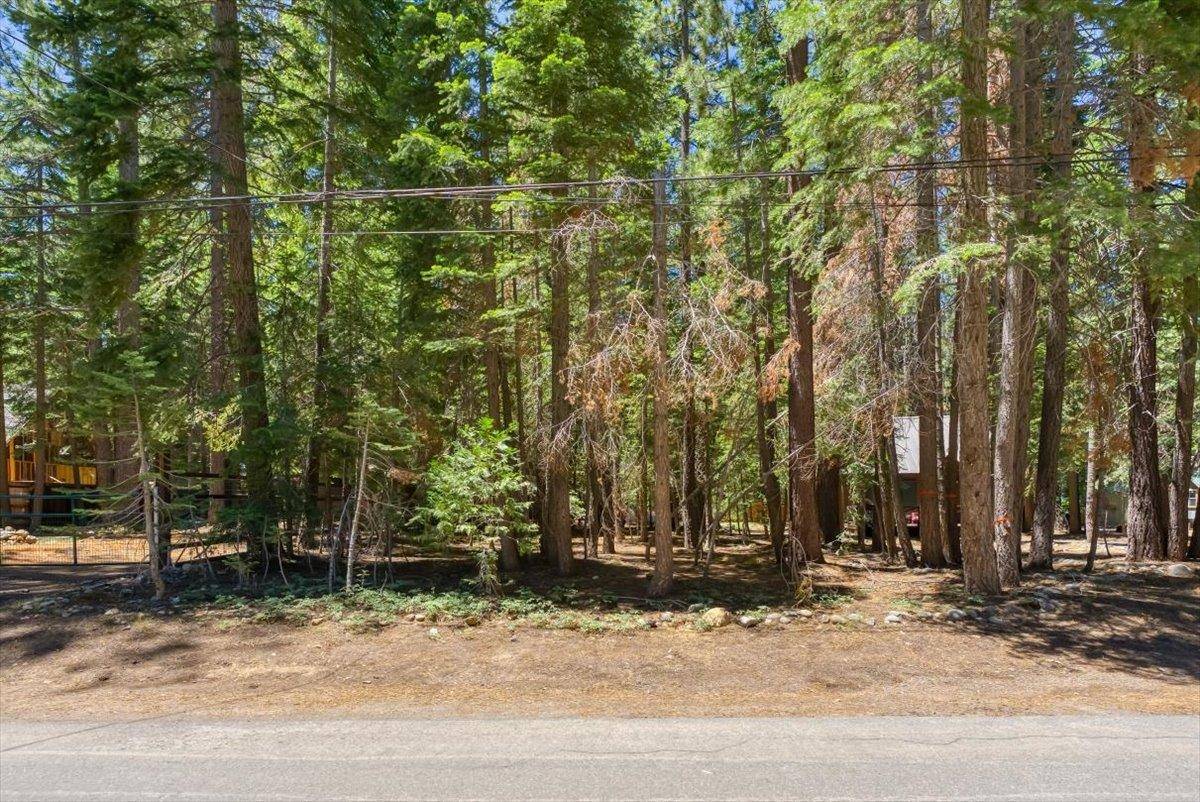 7234 3rd Avenue, Tahoma, CA 96145-2066