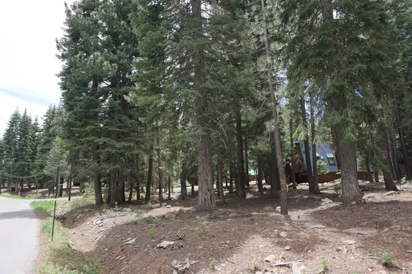 Truckee, CA 96161-0000,13436 Weisshorn Avenue