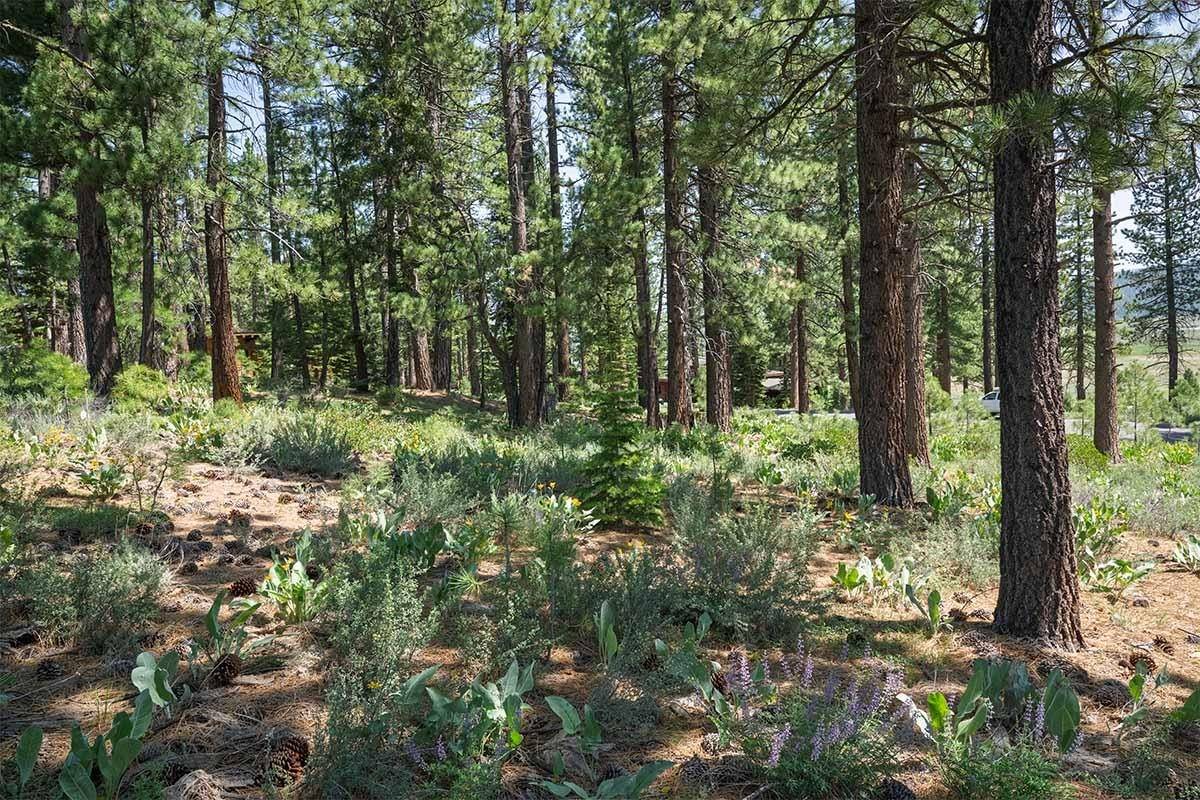Truckee, CA 96161,13316 Snowshoe Thompson Circle