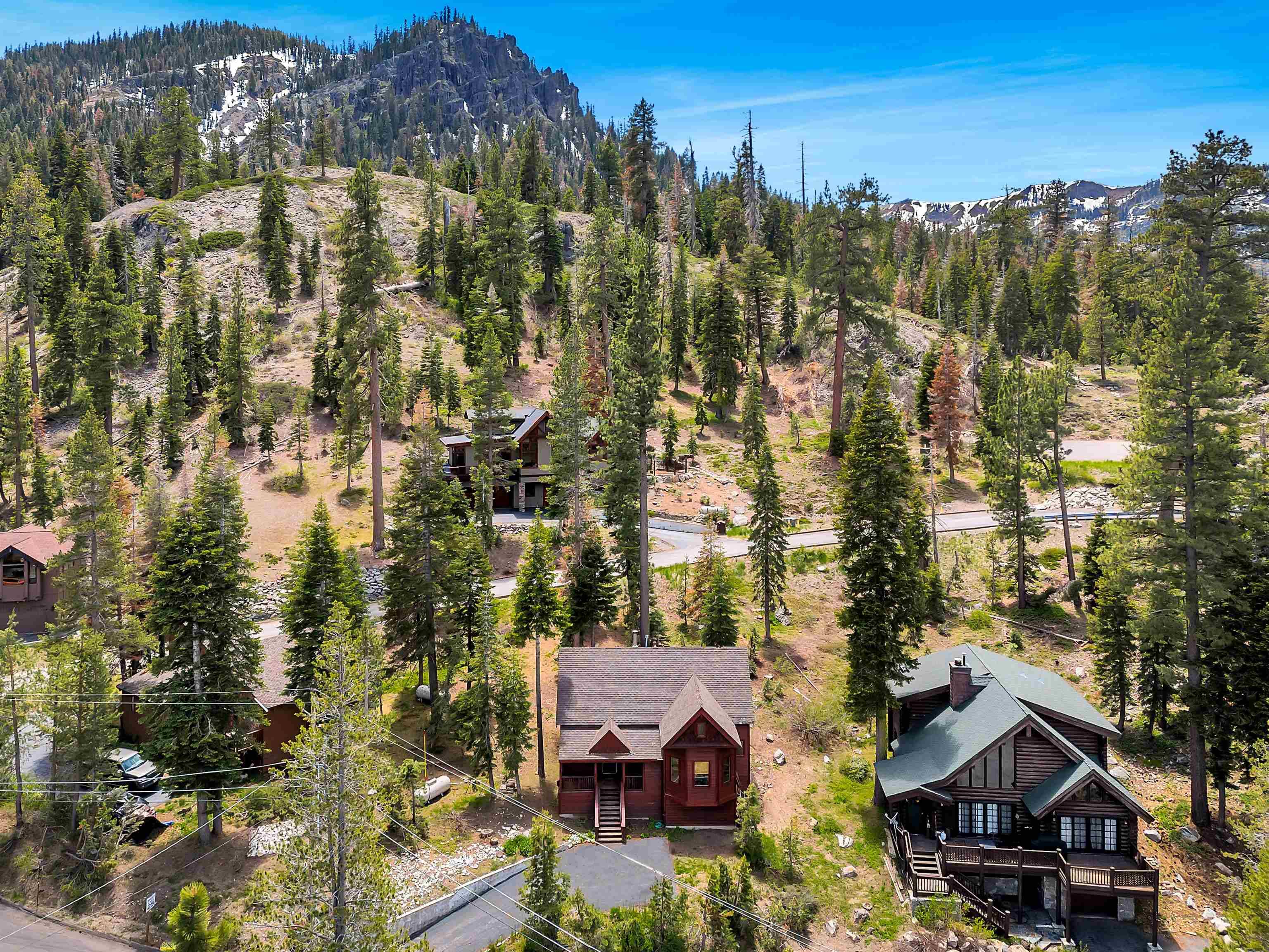 Alpine Meadows, CA 96146,1191 Snow Crest Road