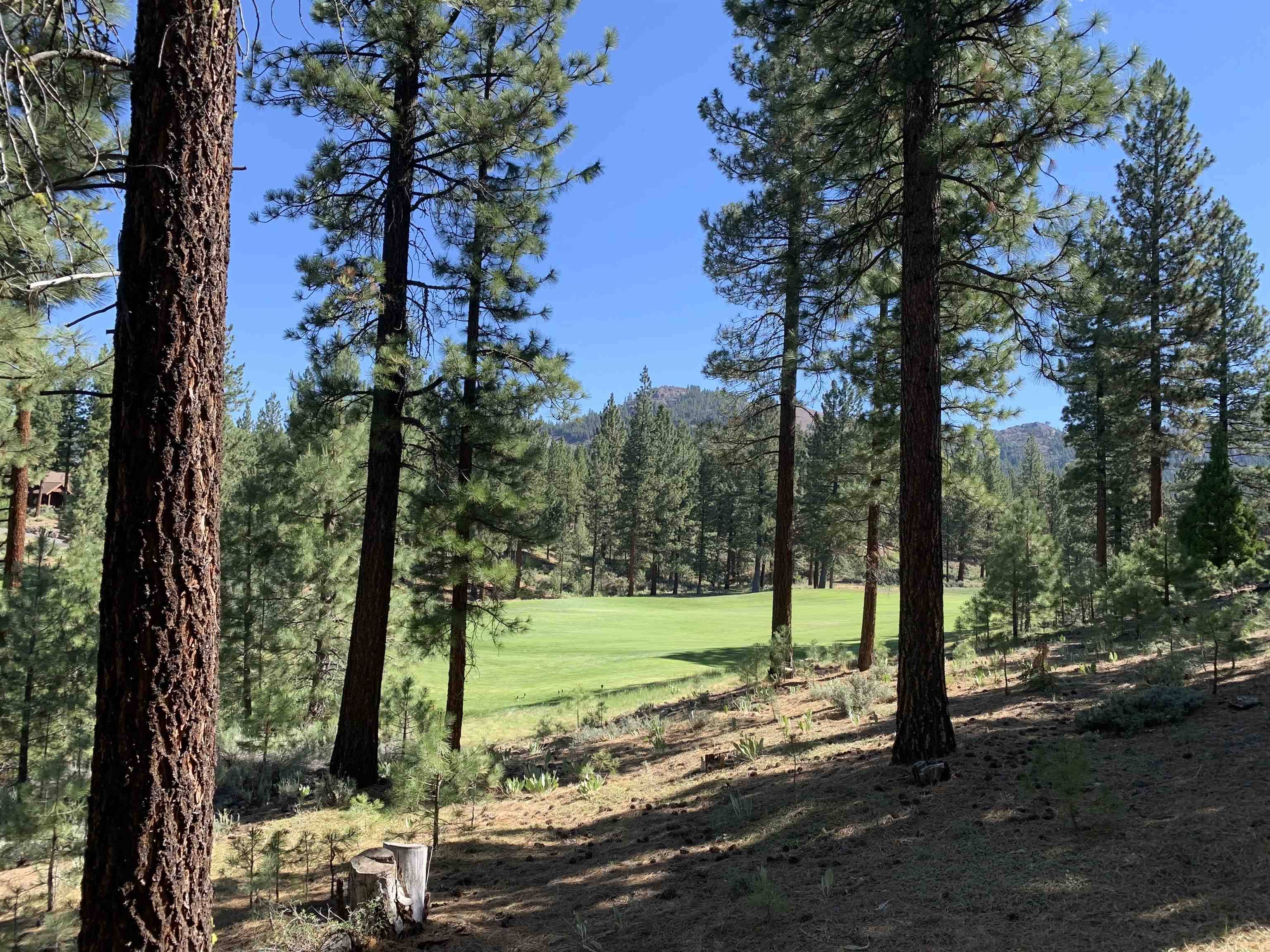 Portola, CA 96122,2066 Grizzly Ranch Road