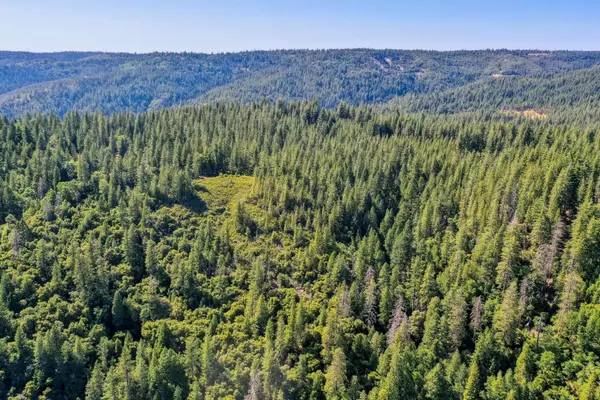 Emigrant Gap, CA 95715,Emigrant Gap
