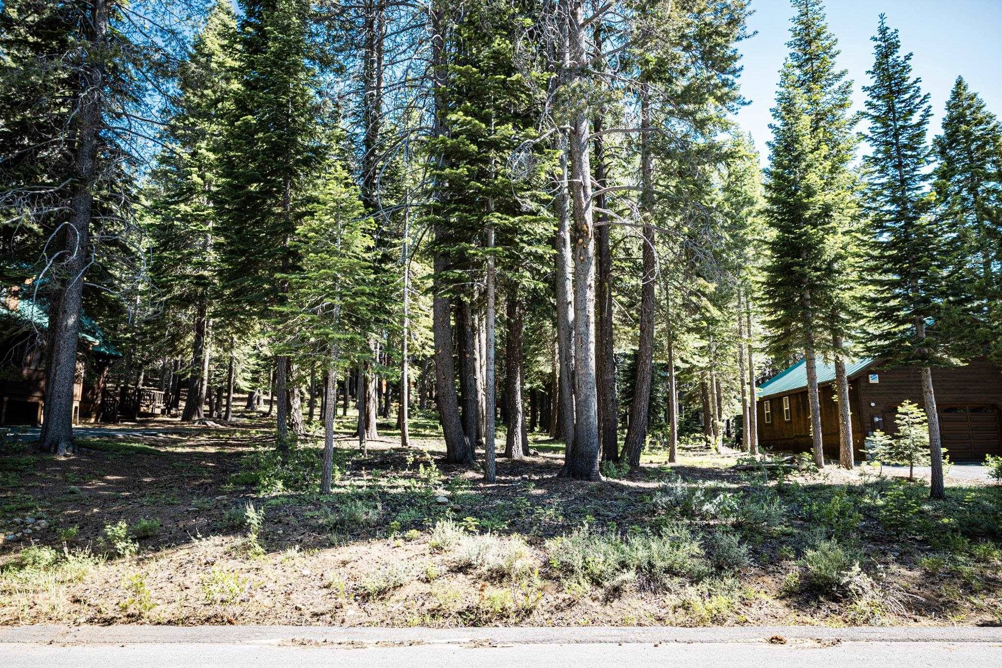 10529 Mougle Lane, Truckee, CA 96161