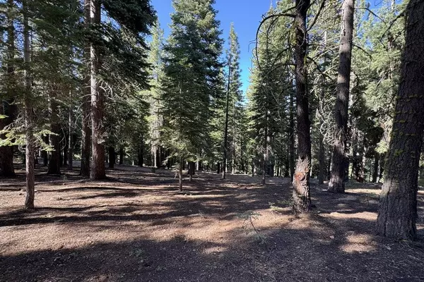 Truckee, CA 96161,11710 Tundra Drive