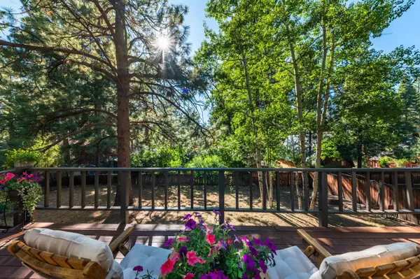 Truckee, CA 96161,10644 Codogan Street